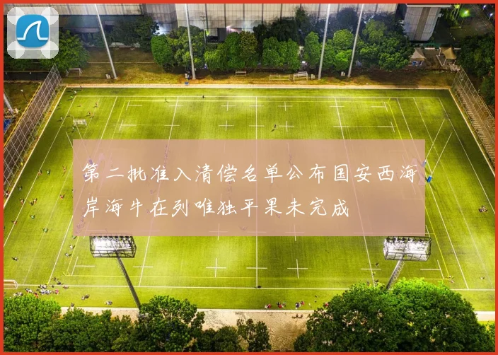 第二批准入清偿名单公布国安西海岸海牛在列唯独平果未完成