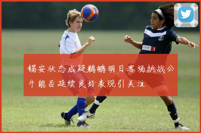 锡安状态成疑鹈鹕明日客场挑战公牛能否延续良好表现引关注