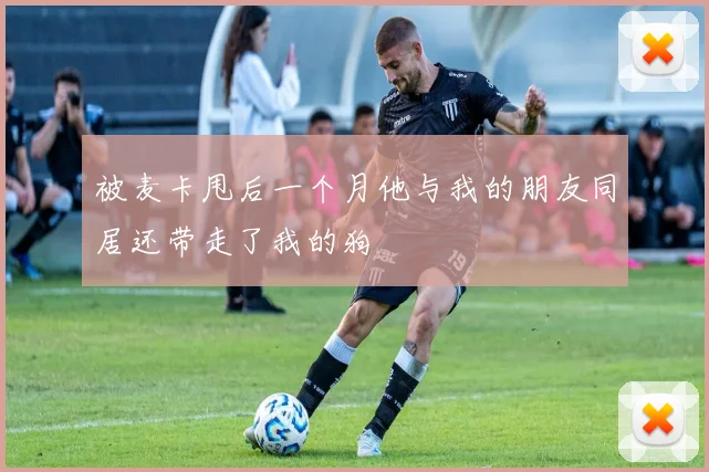 被麦卡甩后一个月他与我的朋友同居还带走了我的狗