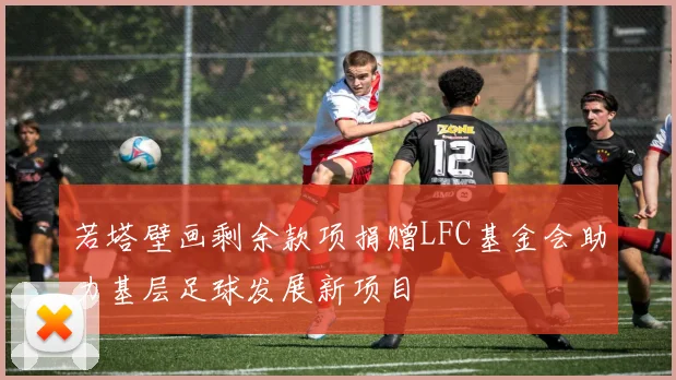 若塔壁画剩余款项捐赠LFC基金会助力基层足球发展新项目