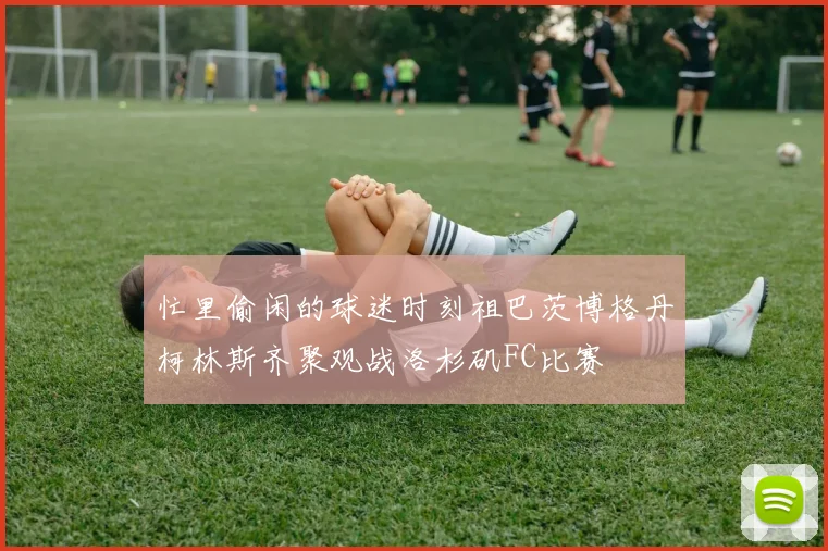 忙里偷闲的球迷时刻祖巴茨博格丹柯林斯齐聚观战洛杉矶FC比赛
